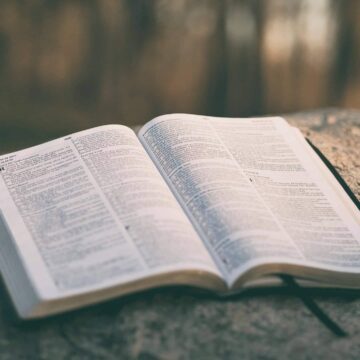 Bible 8