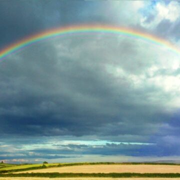 rainbow 1909 1920